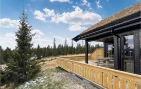 Cozy Home In Sjusjøen With Kitchen